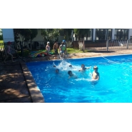 Colonia de Vacaciones - Diciembre 2014